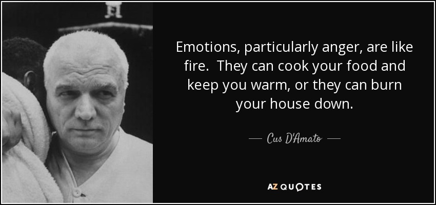 Emotions, particularly anger, are like fire. They can cook your food and keep you warm, or they can burn your house down. - Cus D'Amato