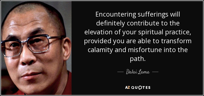 Encountering sufferings will definitely contribute to the elevation of your spiritual practice, provided you are able to transform calamity and misfortune into the path. - Dalai Lama