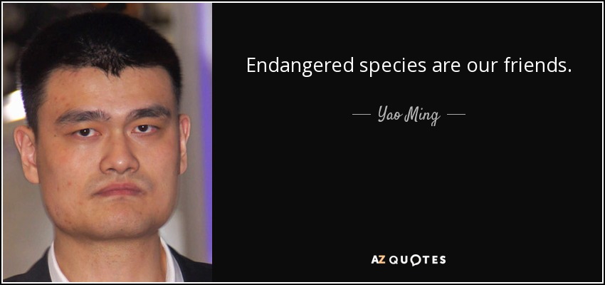Endangered species are our friends. - Yao Ming