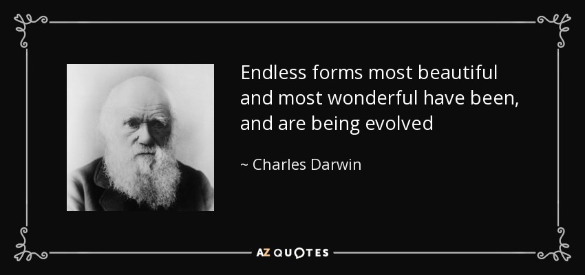Endless forms most beautiful and most wonderful have been, and are being evolved - Charles Darwin