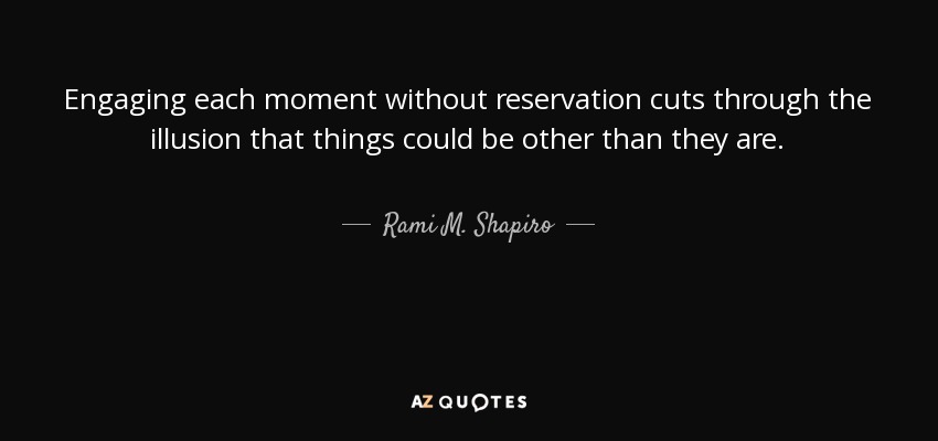 Engaging each moment without reservation cuts through the illusion that things could be other than they are. - Rami M. Shapiro