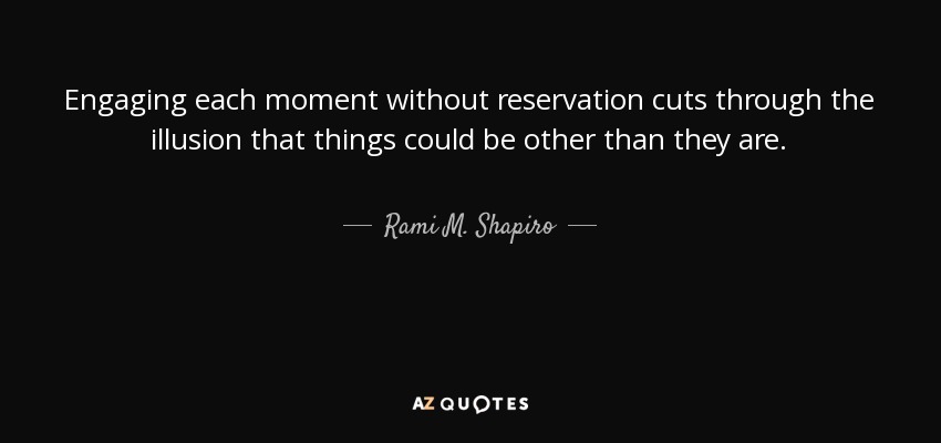 Engaging each moment without reservation cuts through the illusion that things could be other than they are. - Rami M. Shapiro