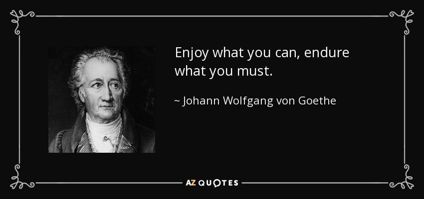 Enjoy what you can, endure what you must. - Johann Wolfgang von Goethe