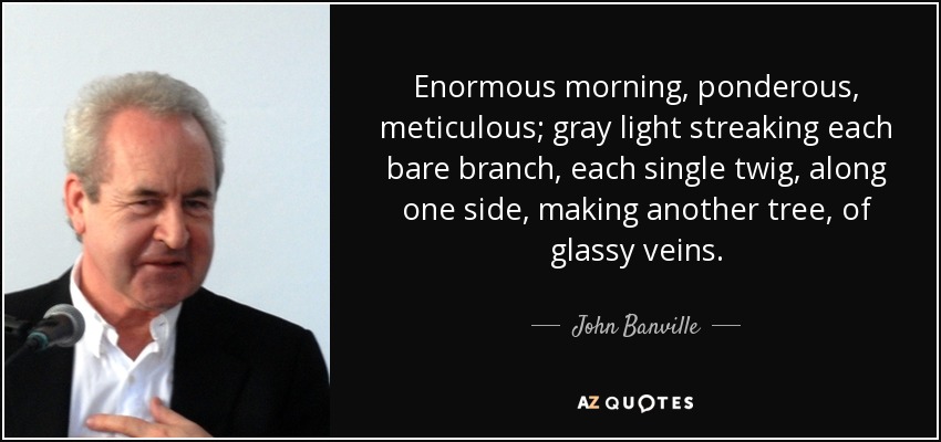 Enormous morning, ponderous, meticulous; gray light streaking each bare branch, each single twig, along one side, making another tree, of glassy veins. - John Banville