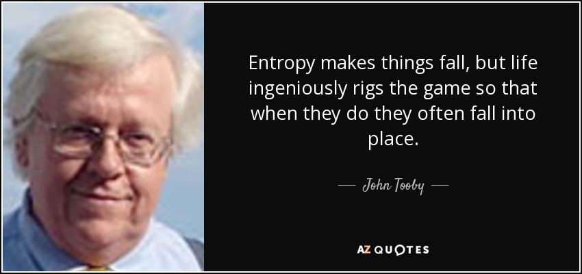Entropy makes things fall, but life ingeniously rigs the game so that when they do they often fall into place. - John Tooby