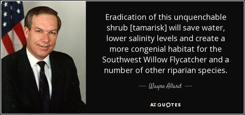 Eradication of this unquenchable shrub [tamarisk] will save water, lower salinity levels and create a more congenial habitat for the Southwest Willow Flycatcher and a number of other riparian species. - Wayne Allard