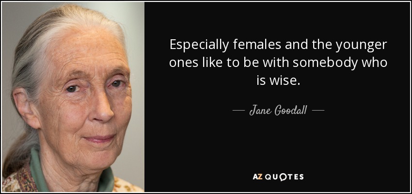 Especially females and the younger ones like to be with somebody who is wise. - Jane Goodall
