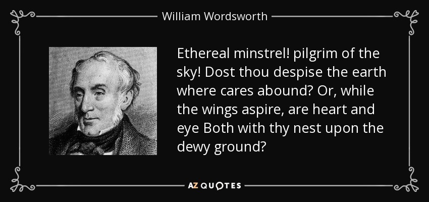 Ethereal minstrel! pilgrim of the sky! Dost thou despise the earth where cares abound? Or, while the wings aspire, are heart and eye Both with thy nest upon the dewy ground? - William Wordsworth