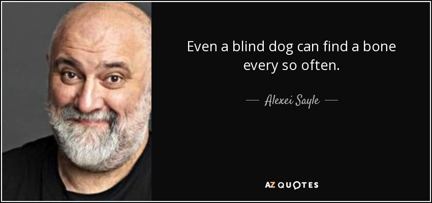 Even a blind dog can find a bone every so often. - Alexei Sayle