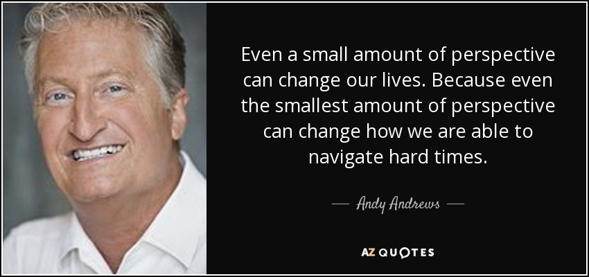Even a small amount of perspective can change our lives. Because even the smallest amount of perspective can change how we are able to navigate hard times. - Andy Andrews