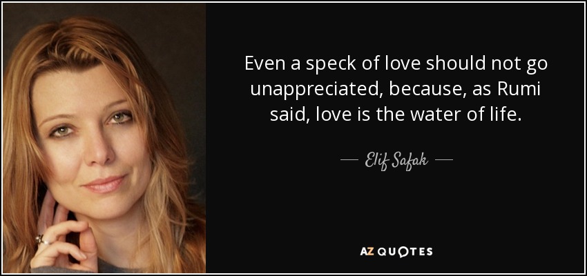 Even a speck of love should not go unappreciated, because, as Rumi said, love is the water of life. - Elif Safak