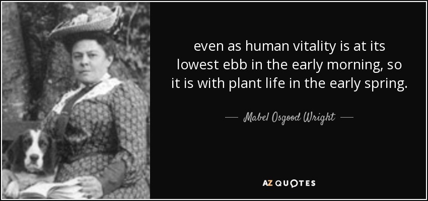 even as human vitality is at its lowest ebb in the early morning, so it is with plant life in the early spring. - Mabel Osgood Wright