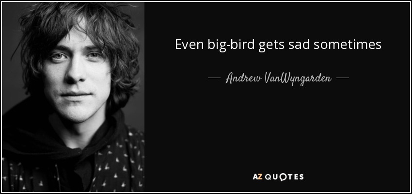 Even big-bird gets sad sometimes - Andrew VanWyngarden