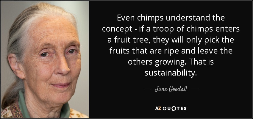 Even chimps understand the concept - if a troop of chimps enters a fruit tree, they will only pick the fruits that are ripe and leave the others growing. That is sustainability. - Jane Goodall