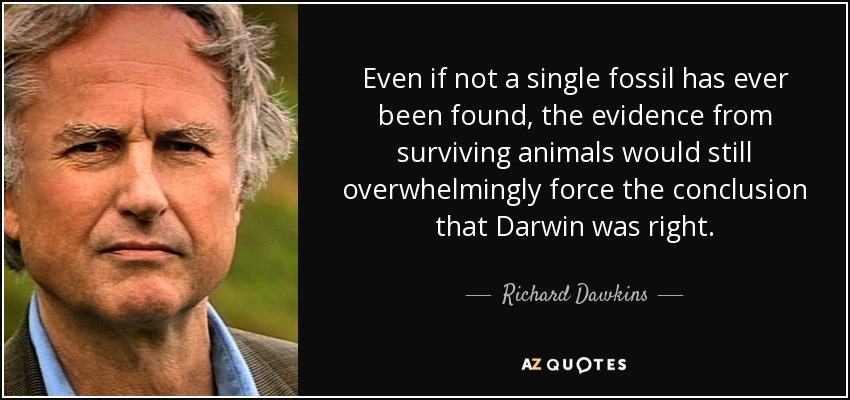 Even if not a single fossil has ever been found, the evidence from surviving animals would still overwhelmingly force the conclusion that Darwin was right. - Richard Dawkins