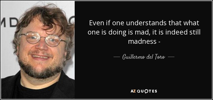 Even if one understands that what one is doing is mad, it is indeed still madness - - Guillermo del Toro
