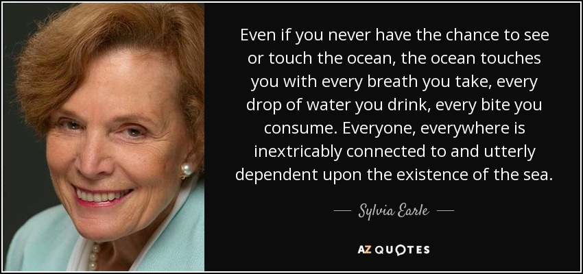 Even if you never have the chance to see or touch the ocean, the ocean touches you with every breath you take, every drop of water you drink, every bite you consume. Everyone, everywhere is inextricably connected to and utterly dependent upon the existence of the sea. - Sylvia Earle