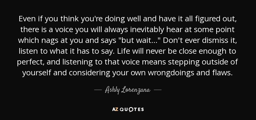 Even if you think you're doing well and have it all figured out, there is a voice you will always inevitably hear at some point which nags at you and says 