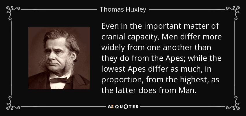 Even in the important matter of cranial capacity, Men differ more widely from one another than they do from the Apes; while the lowest Apes differ as much, in proportion, from the highest, as the latter does from Man. - Thomas Huxley