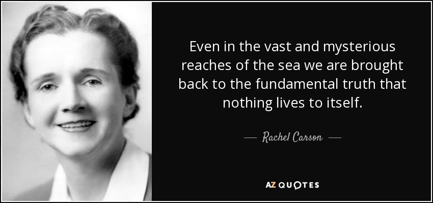 Even in the vast and mysterious reaches of the sea we are brought back to the fundamental truth that nothing lives to itself. - Rachel Carson