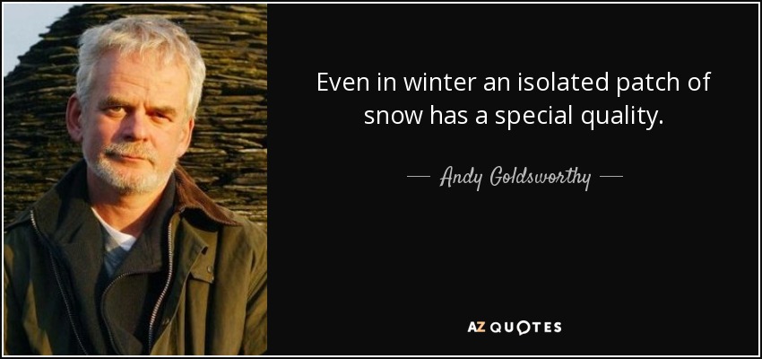 Even in winter an isolated patch of snow has a special quality. - Andy Goldsworthy