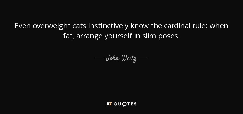 Even overweight cats instinctively know the cardinal rule: when fat, arrange yourself in slim poses. - John Weitz