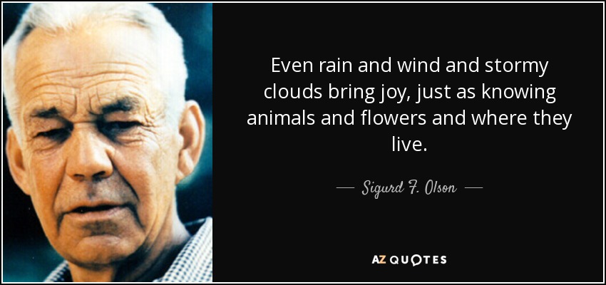 Even rain and wind and stormy clouds bring joy, just as knowing animals and flowers and where they live. - Sigurd F. Olson