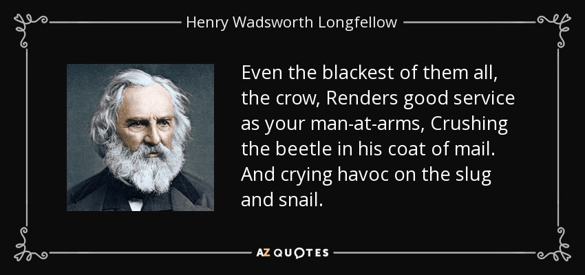 Even the blackest of them all, the crow, Renders good service as your man-at-arms, Crushing the beetle in his coat of mail. And crying havoc on the slug and snail. - Henry Wadsworth Longfellow