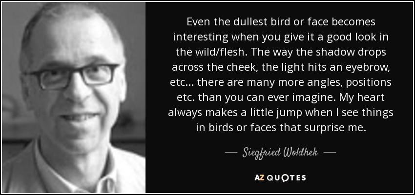 Even the dullest bird or face becomes interesting when you give it a good look in the wild/flesh. The way the shadow drops across the cheek, the light hits an eyebrow, etc... there are many more angles, positions etc. than you can ever imagine. My heart always makes a little jump when I see things in birds or faces that surprise me. - Siegfried Woldhek