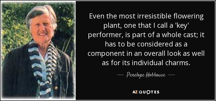 Even the most irresistible flowering plant, one that I call a 'key' performer, is part of a whole cast; it has to be considered as a component in an overall look as well as for its individual charms. - Penelope Hobhouse