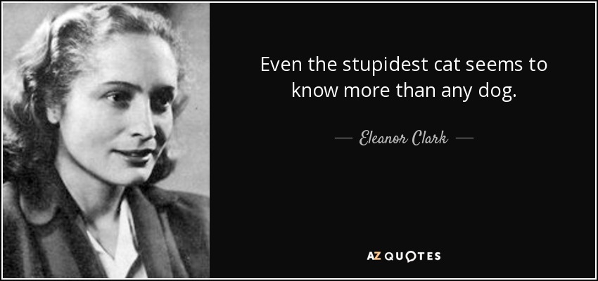 Even the stupidest cat seems to know more than any dog. - Eleanor Clark