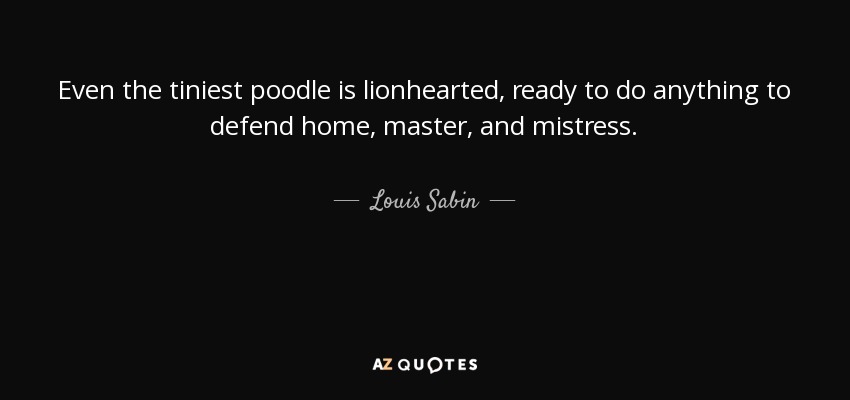 Even the tiniest poodle is lionhearted, ready to do anything to defend home, master, and mistress. - Louis Sabin