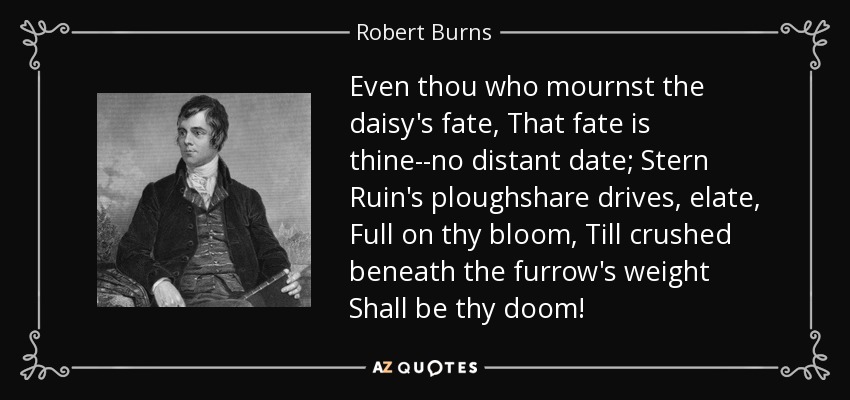 Even thou who mournst the daisy's fate, That fate is thine--no distant date; Stern Ruin's ploughshare drives, elate, Full on thy bloom, Till crushed beneath the furrow's weight Shall be thy doom! - Robert Burns
