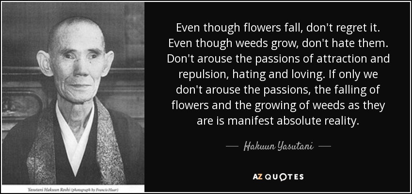 Even though flowers fall, don't regret it. Even though weeds grow, don't hate them. Don't arouse the passions of attraction and repulsion, hating and loving. If only we don't arouse the passions, the falling of flowers and the growing of weeds as they are is manifest absolute reality. - Hakuun Yasutani