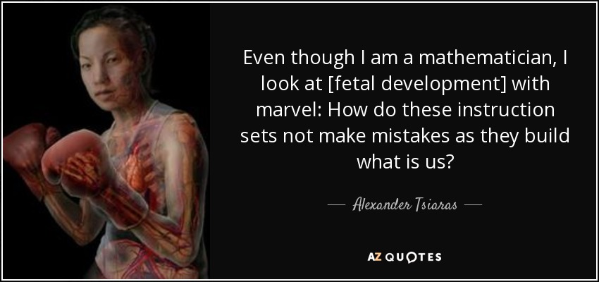 Even though I am a mathematician, I look at [fetal development] with marvel: How do these instruction sets not make mistakes as they build what is us? - Alexander Tsiaras