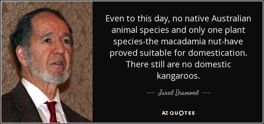 Even to this day, no native Australian animal species and only one plant species-the macadamia nut-have proved suitable for domestication. There still are no domestic kangaroos. - Jared Diamond