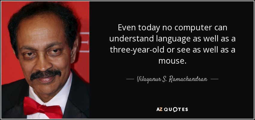 Even today no computer can understand language as well as a three-year-old or see as well as a mouse. - Vilayanur S. Ramachandran