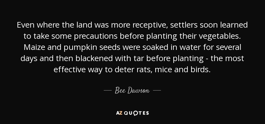 Even where the land was more receptive, settlers soon learned to take some precautions before planting their vegetables. Maize and pumpkin seeds were soaked in water for several days and then blackened with tar before planting - the most effective way to deter rats, mice and birds. - Bee Dawson