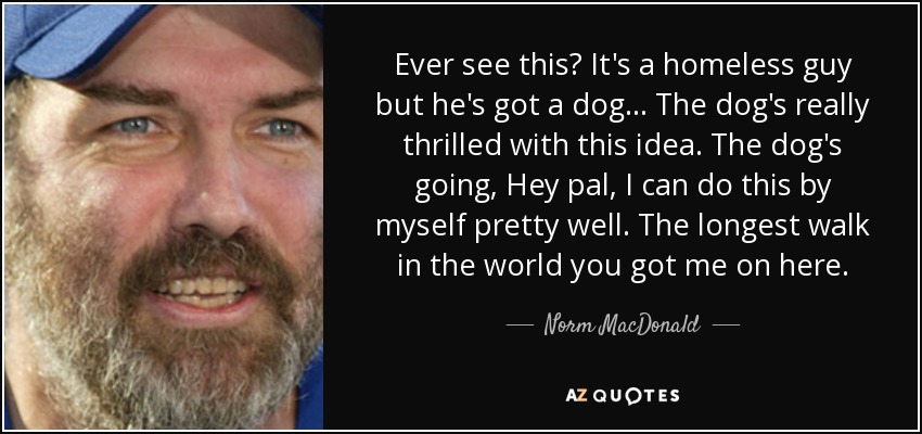 Ever see this? It's a homeless guy but he's got a dog... The dog's really thrilled with this idea. The dog's going, Hey pal, I can do this by myself pretty well. The longest walk in the world you got me on here. - Norm MacDonald