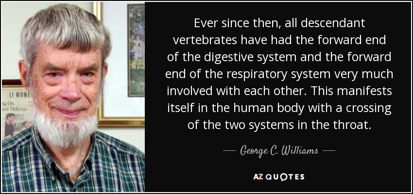 Ever since then, all descendant vertebrates have had the forward end of the digestive system and the forward end of the respiratory system very much involved with each other. This manifests itself in the human body with a crossing of the two systems in the throat. - George C. Williams