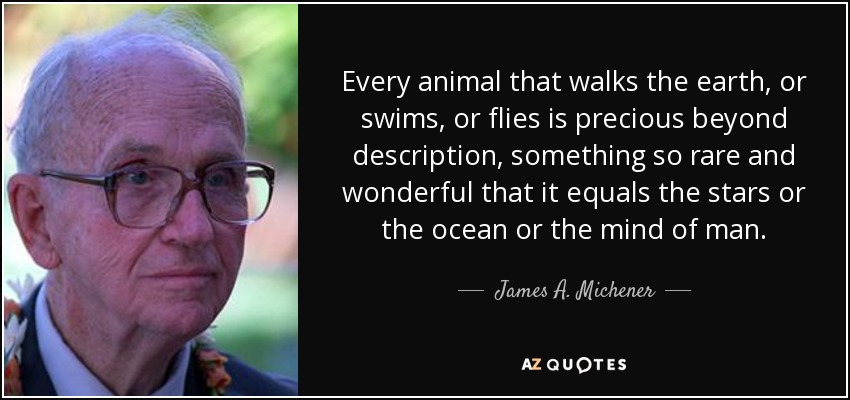 Every animal that walks the earth, or swims, or flies is precious beyond description, something so rare and wonderful that it equals the stars or the ocean or the mind of man. - James A. Michener