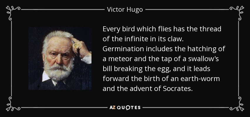 Every bird which flies has the thread of the infinite in its claw. Germination includes the hatching of a meteor and the tap of a swallow's bill breaking the egg, and it leads forward the birth of an earth-worm and the advent of Socrates. - Victor Hugo