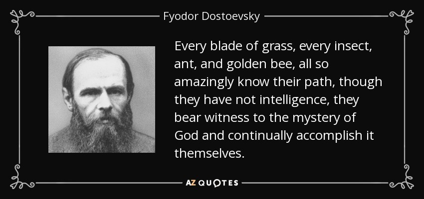 Every blade of grass, every insect, ant, and golden bee, all so amazingly know their path, though they have not intelligence, they bear witness to the mystery of God and continually accomplish it themselves. - Fyodor Dostoevsky