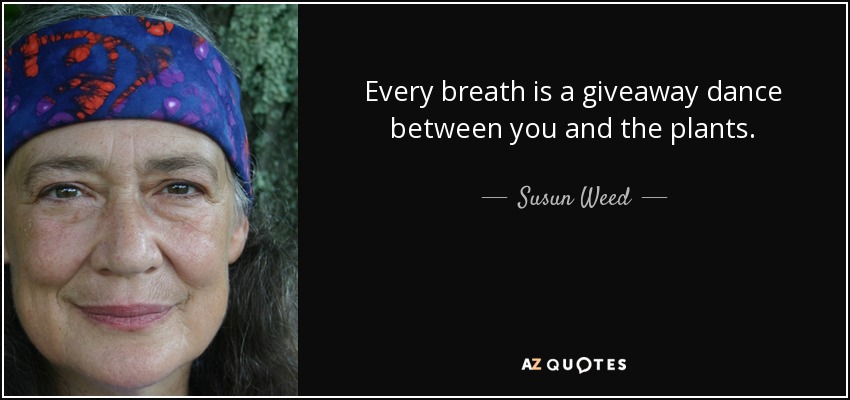 Every breath is a giveaway dance between you and the plants. - Susun Weed
