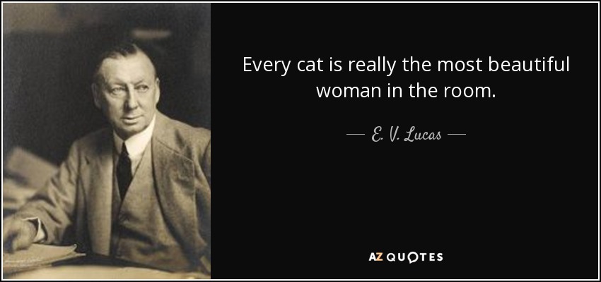 Every cat is really the most beautiful woman in the room. - E. V. Lucas