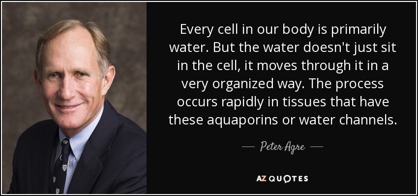 Every cell in our body is primarily water. But the water doesn't just sit in the cell, it moves through it in a very organized way. The process occurs rapidly in tissues that have these aquaporins or water channels. - Peter Agre