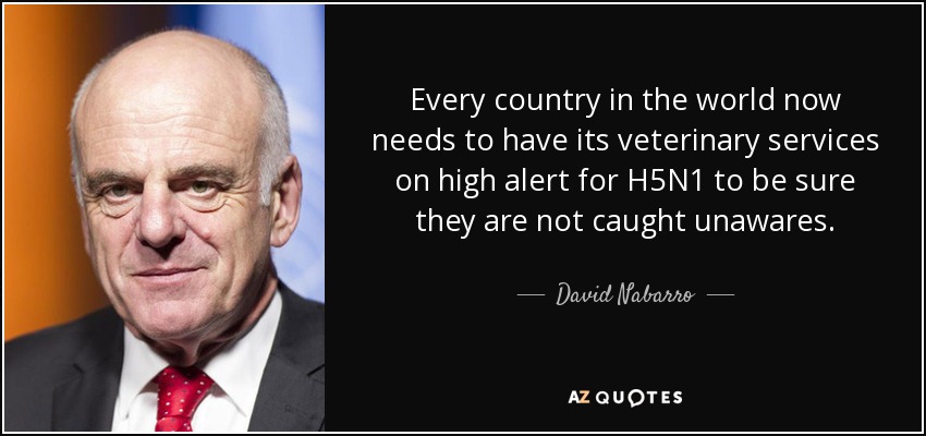 Every country in the world now needs to have its veterinary services on high alert for H5N1 to be sure they are not caught unawares. - David Nabarro