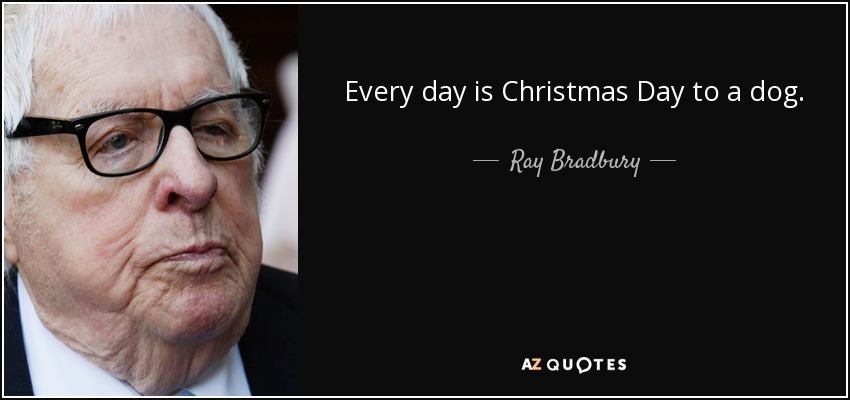 Every day is Christmas Day to a dog. - Ray Bradbury