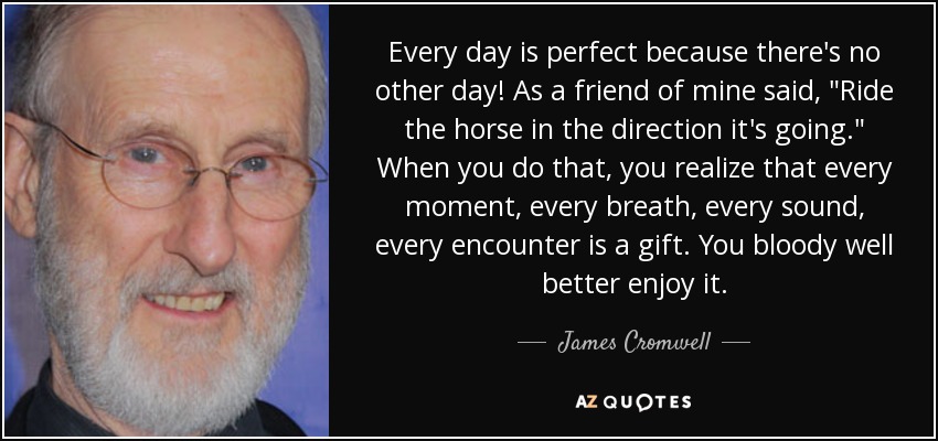 Every day is perfect because there's no other day! As a friend of mine said, 
