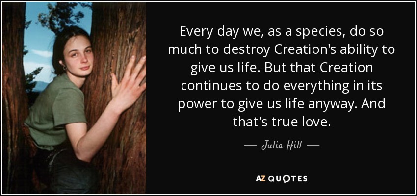 Every day we, as a species, do so much to destroy Creation's ability to give us life. But that Creation continues to do everything in its power to give us life anyway. And that's true love. - Julia Hill